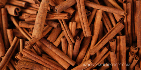 cinnamon indonesia