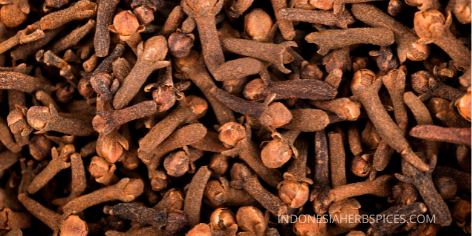 what is clove spice