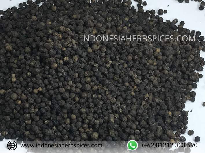 black pepper indonesia