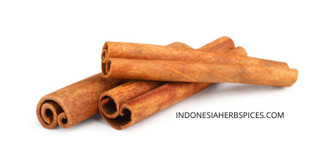 cinnamon in indonesia