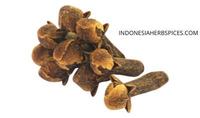 What Can Clove Be Used For? The Various Use Of Cloves For Beauty