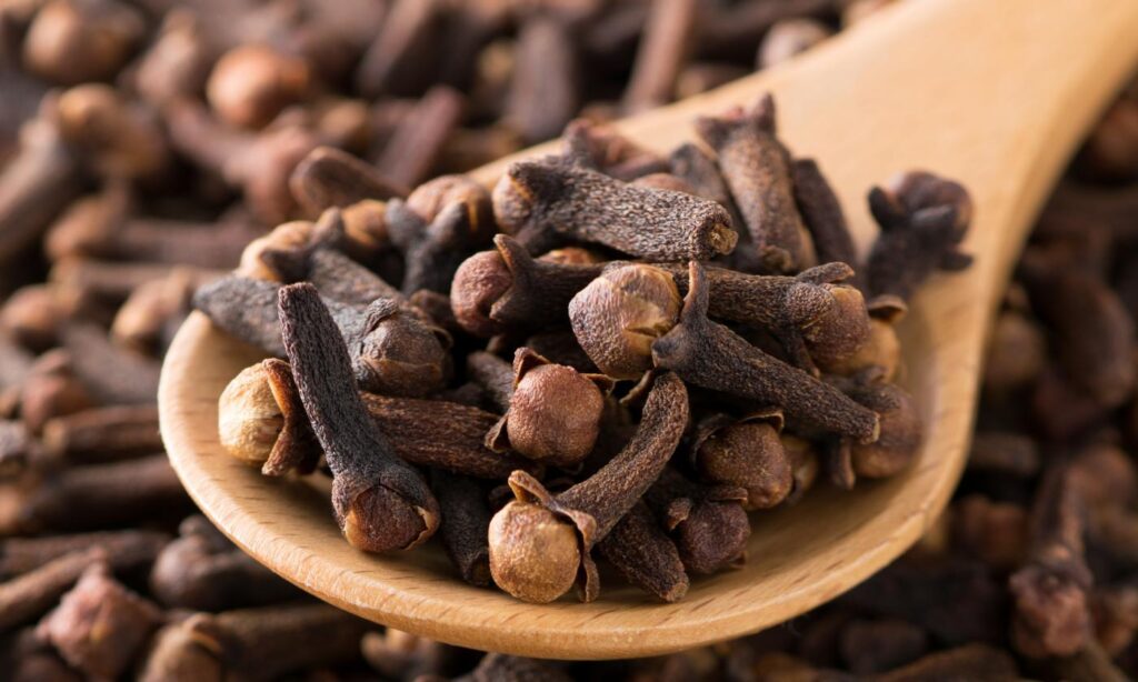Clove used for
