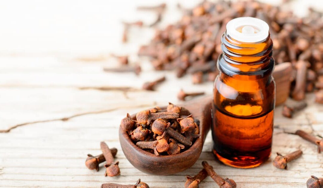 Clove Oil Medicinal Uses