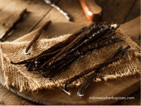 vanilla plantation
