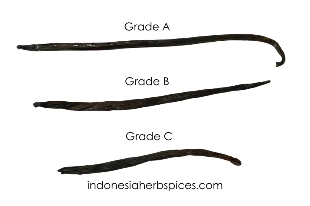 Vanilla Different Grade Long