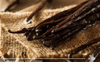 Vanilla Pods Parfum Trend in Fragrance Market