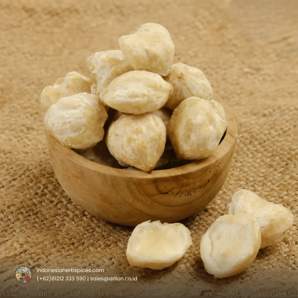candlenut form indonesia