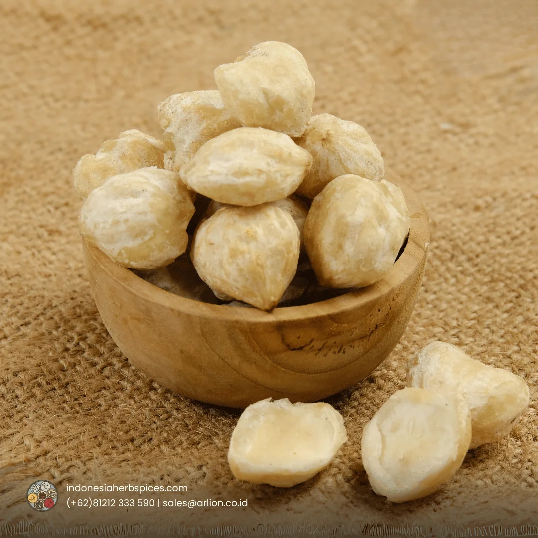 candlenut form indonesia