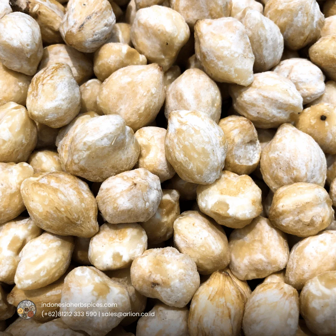candlenut kemiri