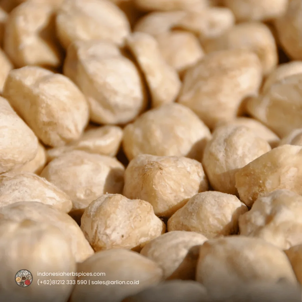 candlenut spice