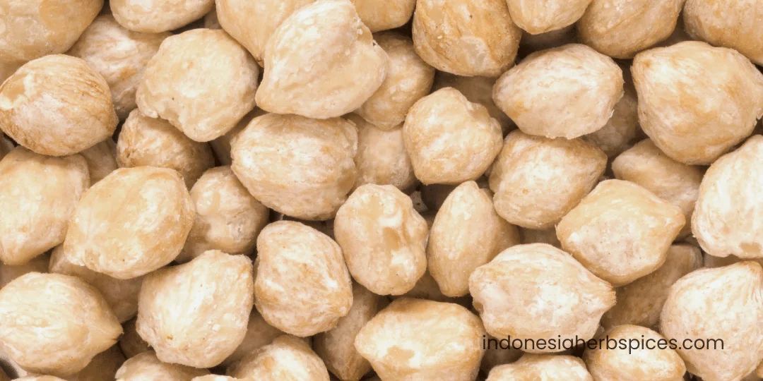 candlenut supplier