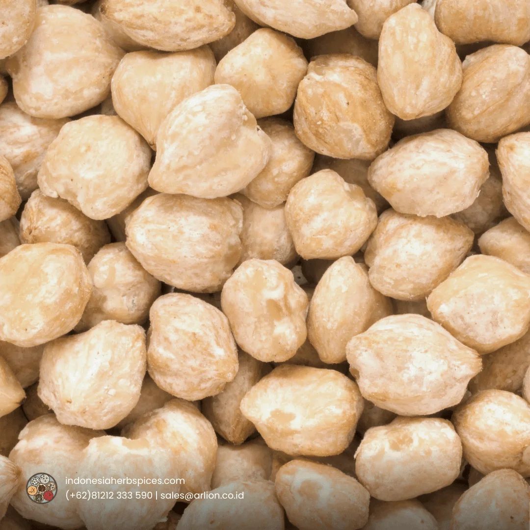 Candlenut kukui nut