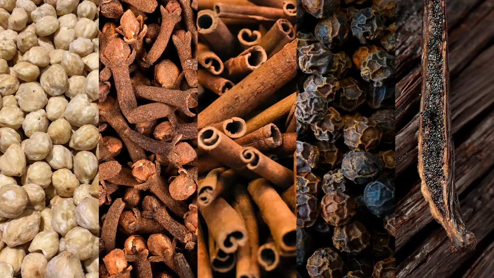 herbs and spices seasoning